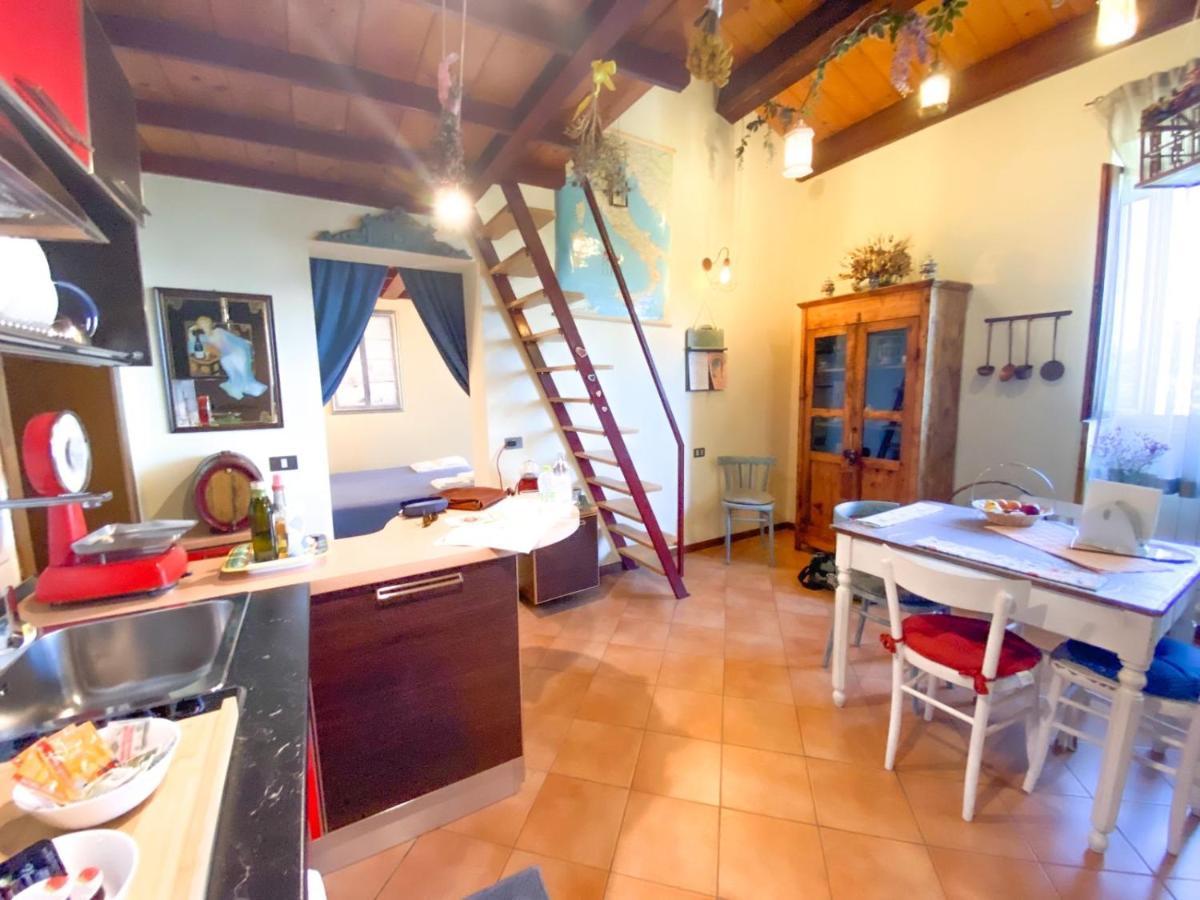 Ca' Tomassino Holiday Apartments Urbino Kültér fotó